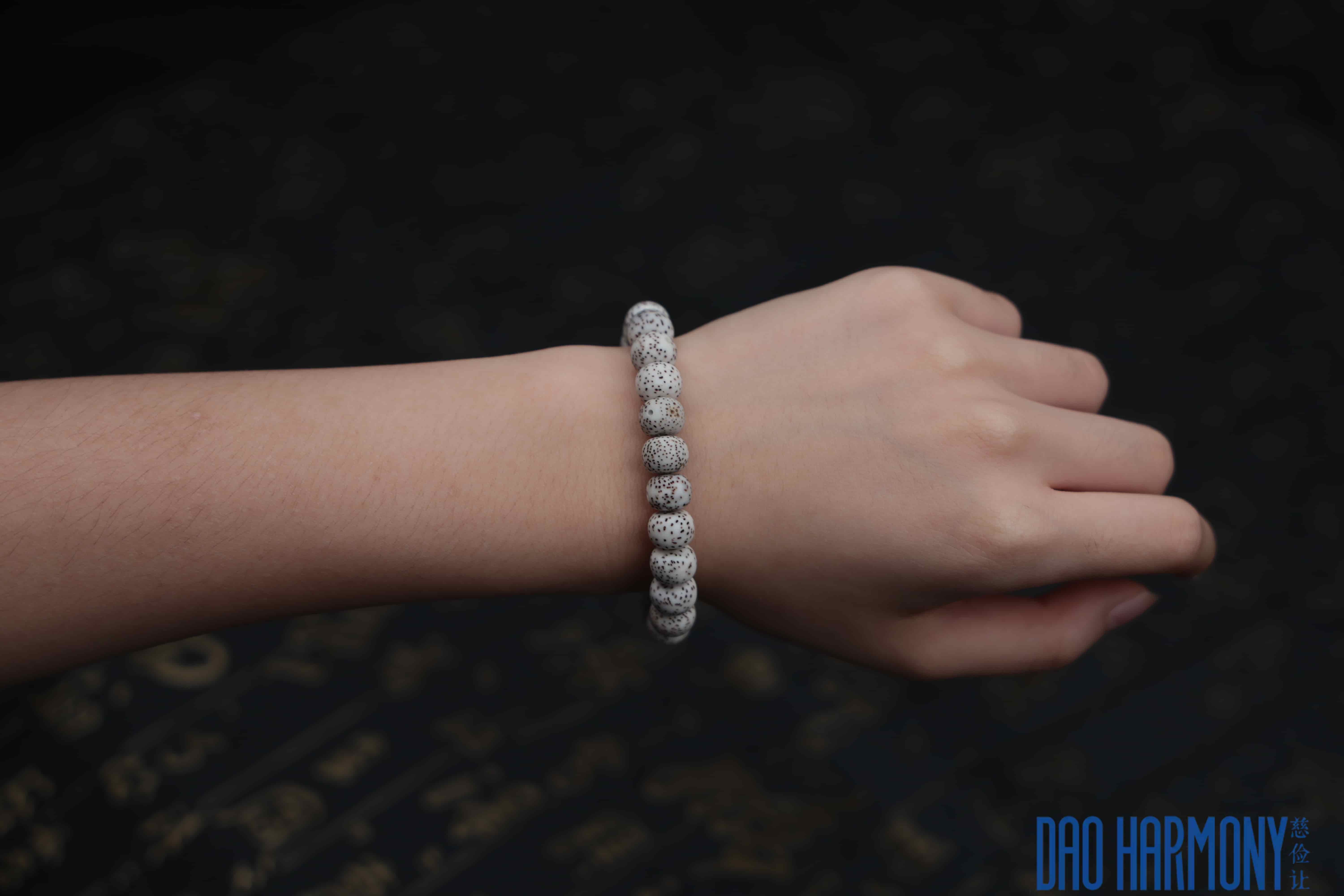 Tiger Eye Red Agate Star Moon Bodhi Bracelet