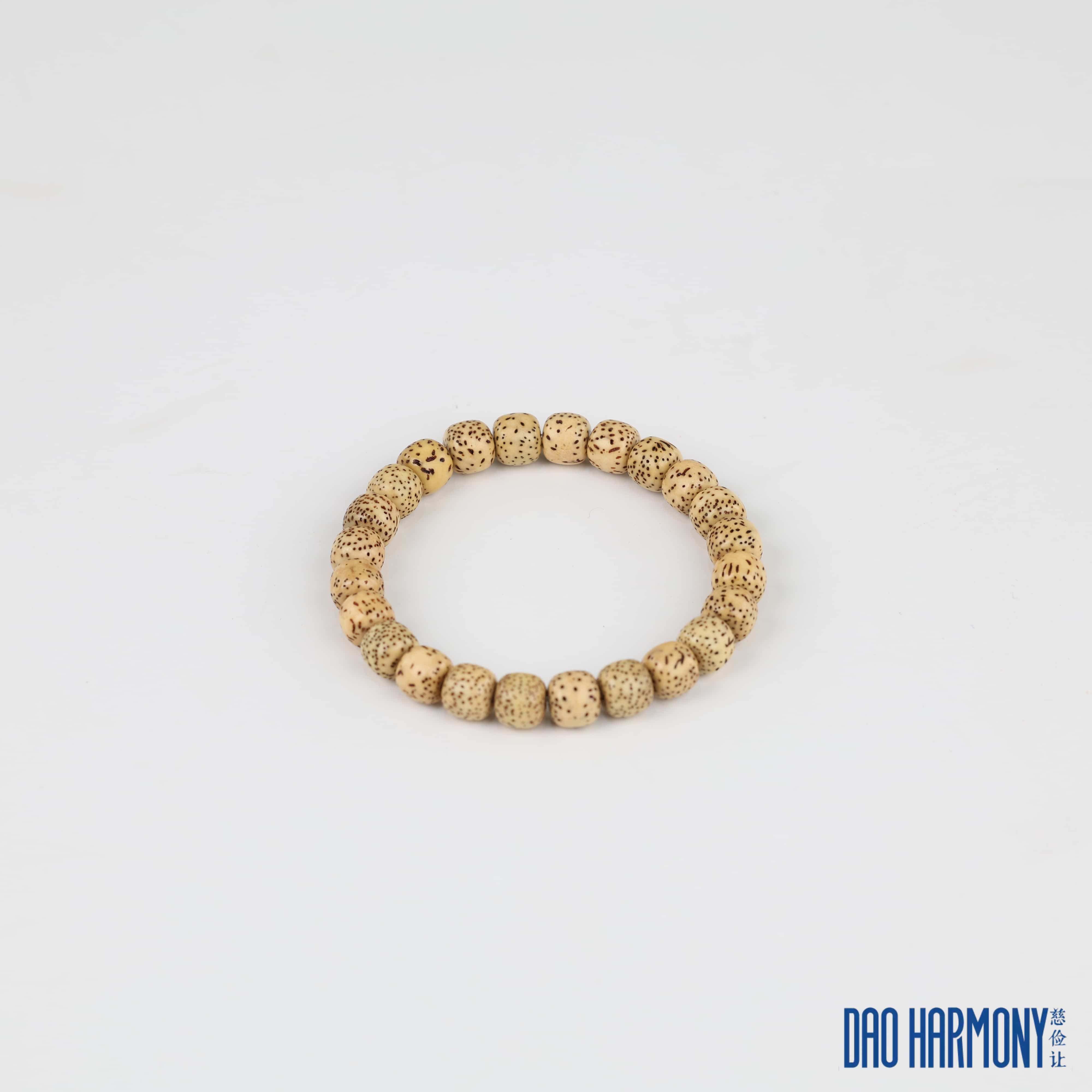 Jujube Wood Qiankun Circle·Nine-Character Mantra Silver Bracelet