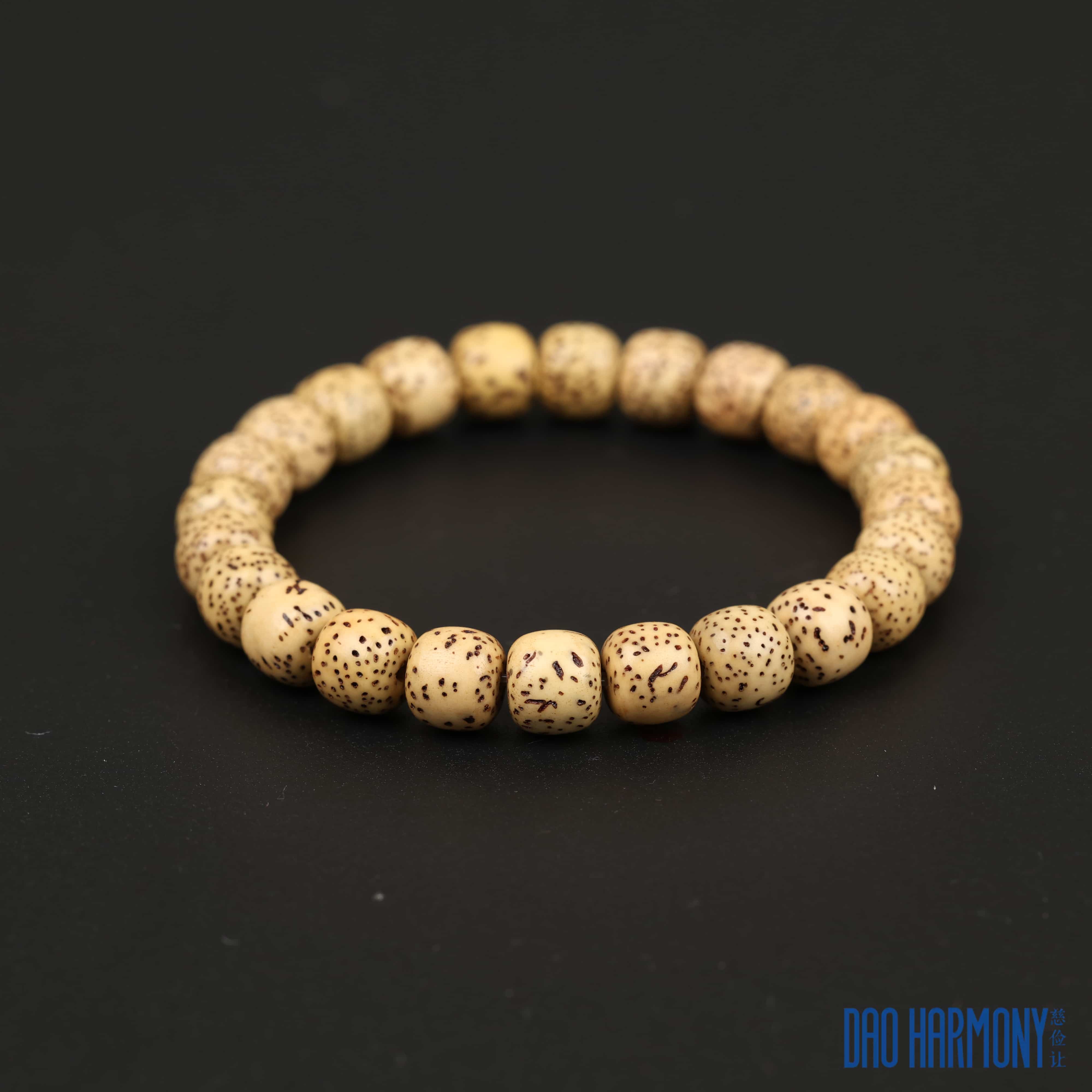 Jujube Wood Qiankun Circle·Nine-Character Mantra Silver Bracelet