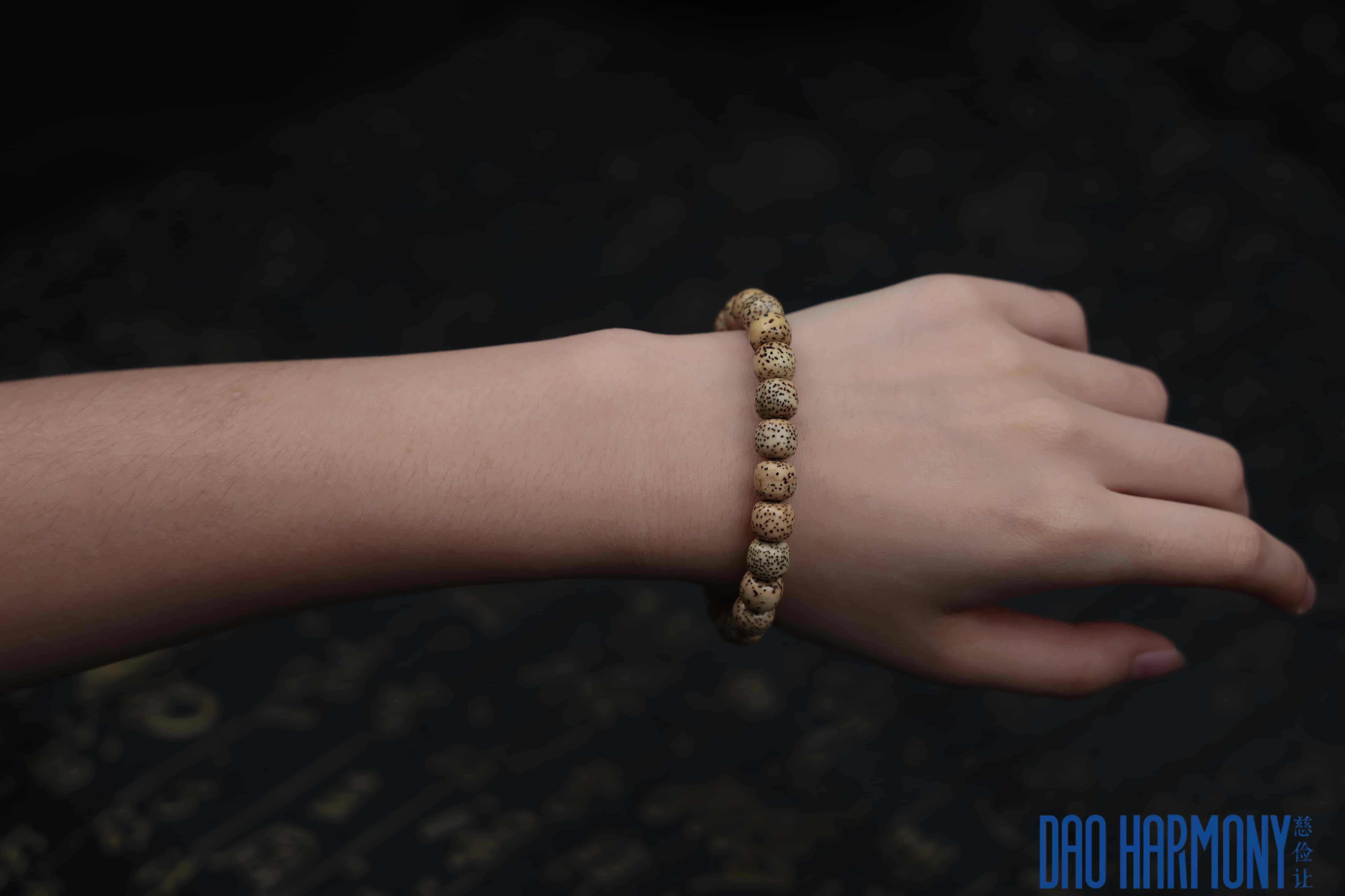 Jujube Wood Qiankun Circle·Nine-Character Mantra Silver Bracelet